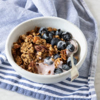 Bowl with big-cluster granola. Made with oats, pecans, almonds, honey and flaxseed. Served with yogurt and blueberries.